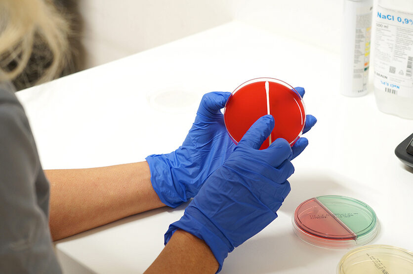 Mitarbeiterin hält eine Petrischale mit Nährboden im Praxislabor